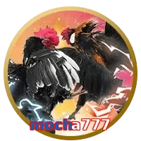 mocha777