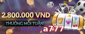mocha777